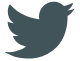 icon-twitter